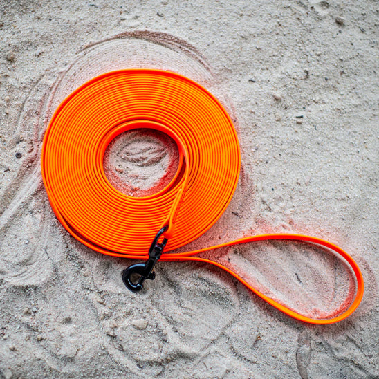 Laisse pour chien | Patte Seiche™