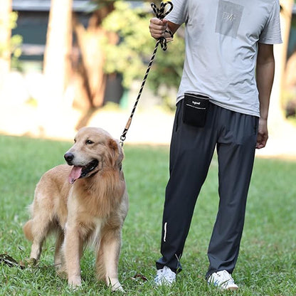 laisse chien connexion constace