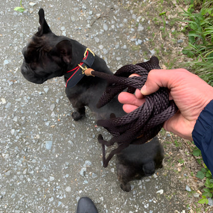 Laisse chien | Dura Patte™