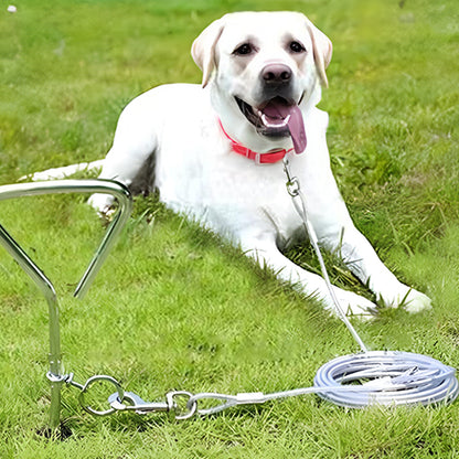 laisse chien pratique pour activité liberté