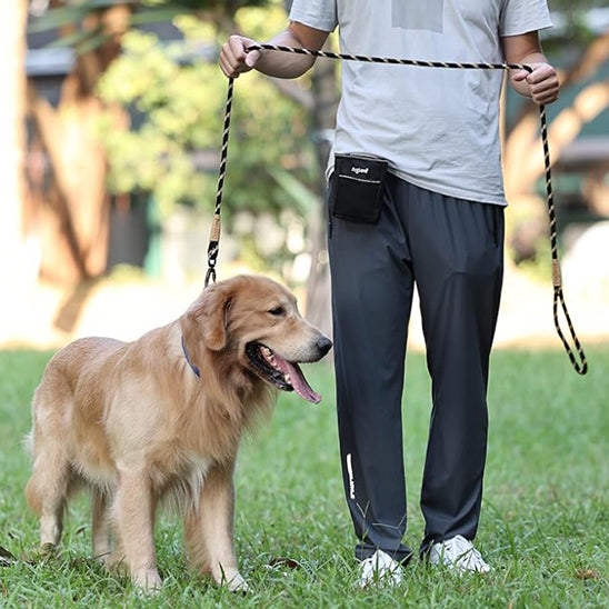 laisse chien ultra résistance et durable