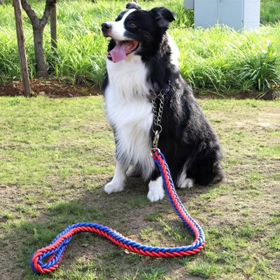 laisse pour chien corde tressée confortable