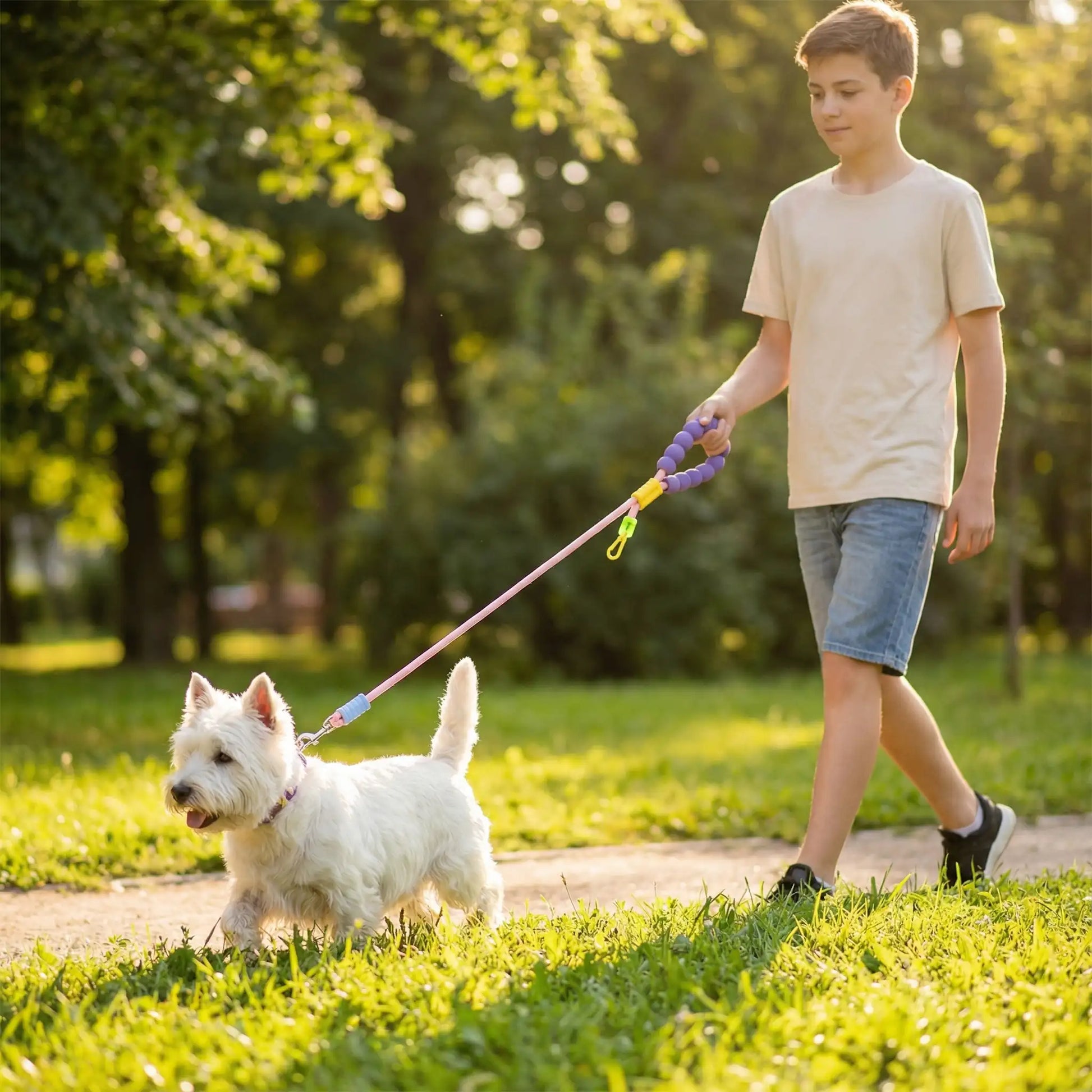 laisse pour chien facile et confortable à utiliser