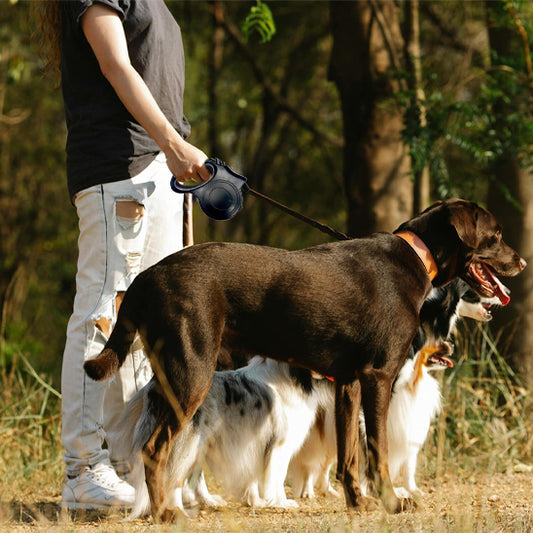 laisse pour chien force controle
