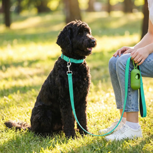 Laisse pour chien | Laisse ma Patte™