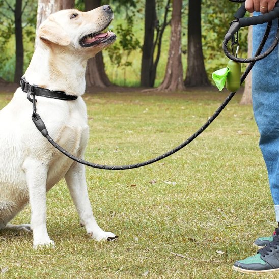 laisse pour chien robuste confortable