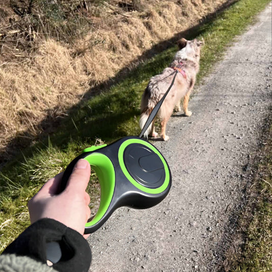laisse pour chien sans tiraillage
