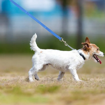 Laisse pour chien Système d'attache sécurisé