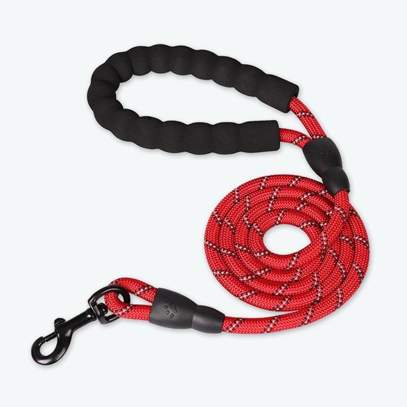 LaisseEduc™ - Corde en Nylon pour chien | Chien - Pattes Museau et Cie