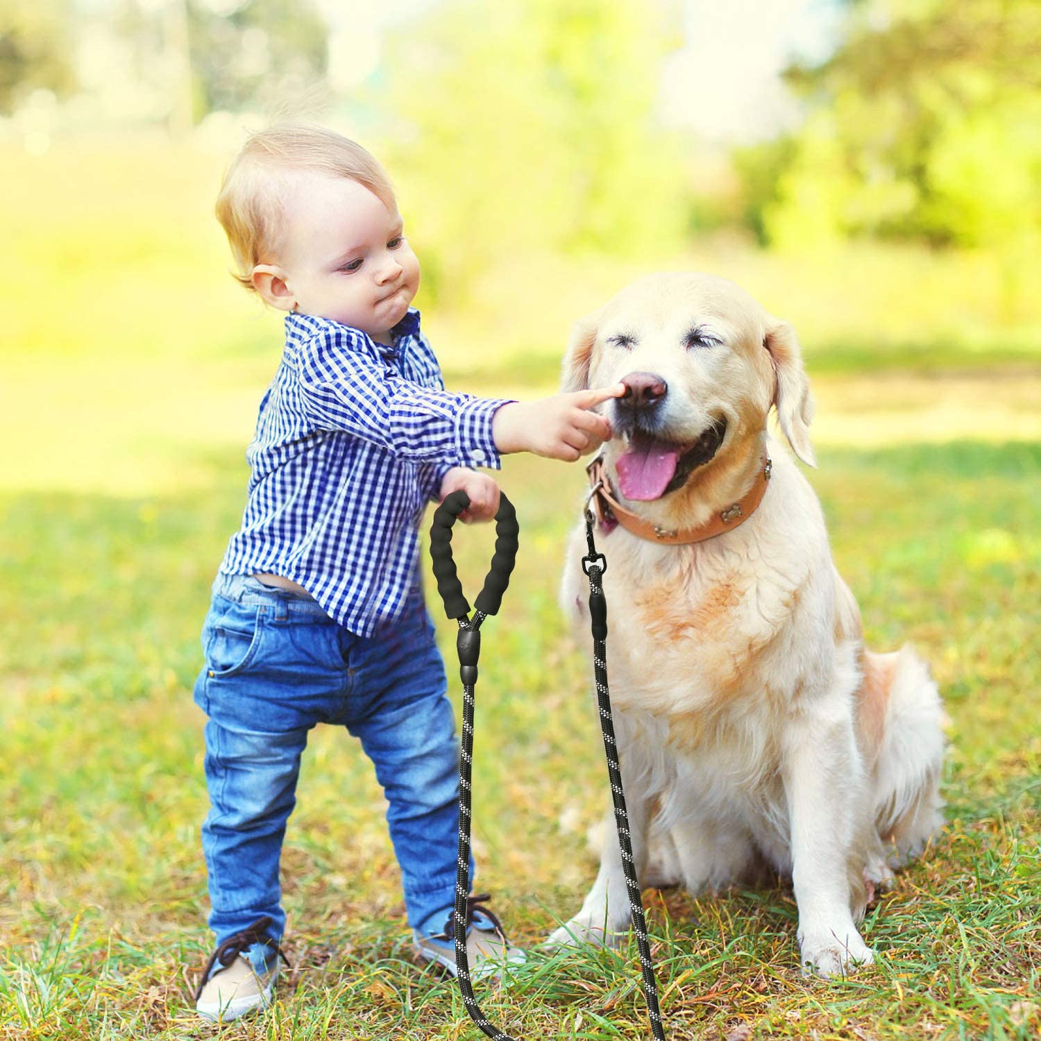 LaisseEduc™ - Corde en Nylon pour chien | Chien - Pattes Museau et Cie