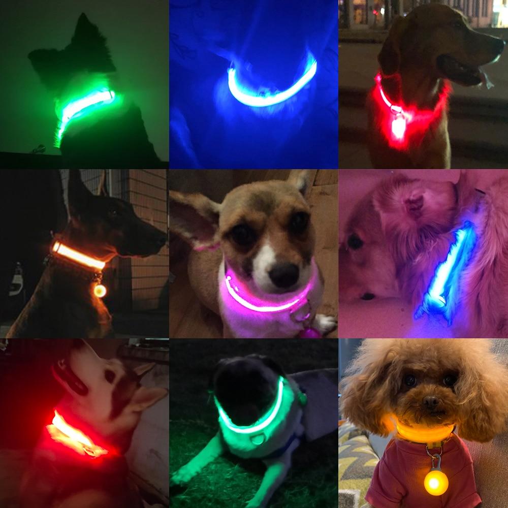 LedCollar™ - Collier à LED rechargeable pour chien - Pattes Museau et Cie