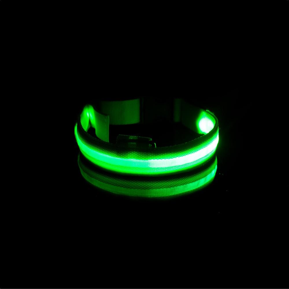 LedCollar™ - Collier à LED rechargeable pour chien - Pattes Museau et Cie