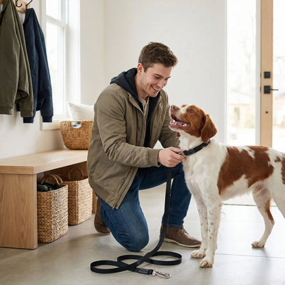 longe chiens attache anti évasion