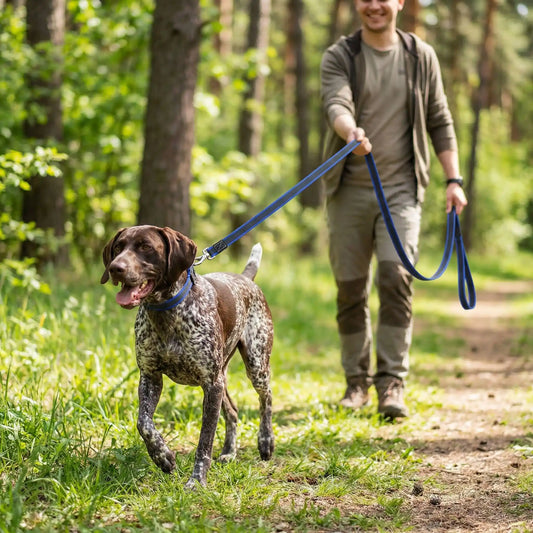 longe chiens balade contrôlée