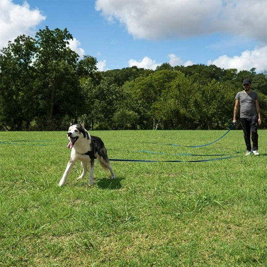 Longe pour chien Légèreté optimale