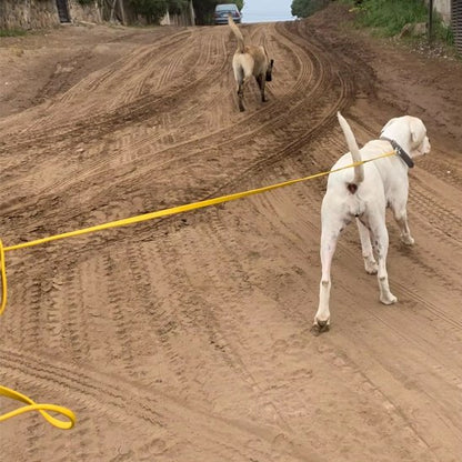 Longe pour chien Système d'attache sécurisé