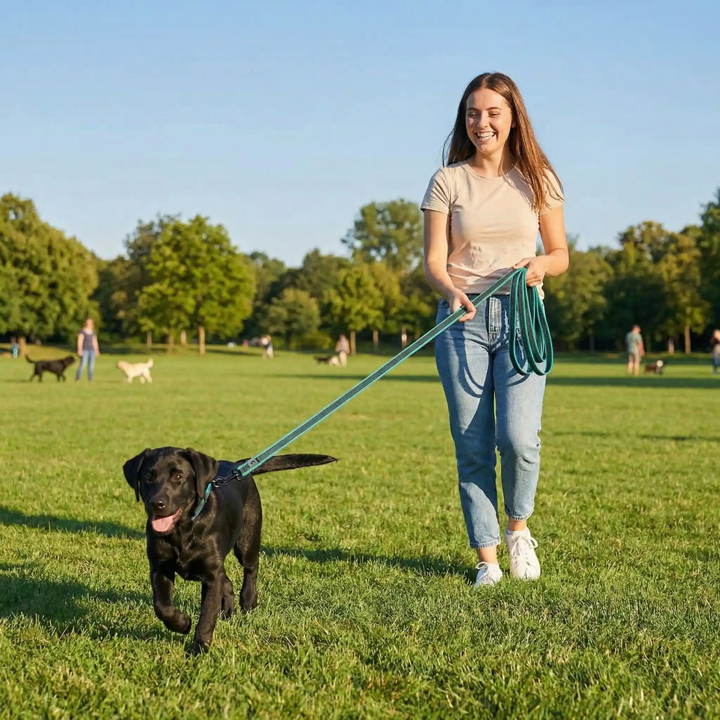 longes chien complicité renforcée