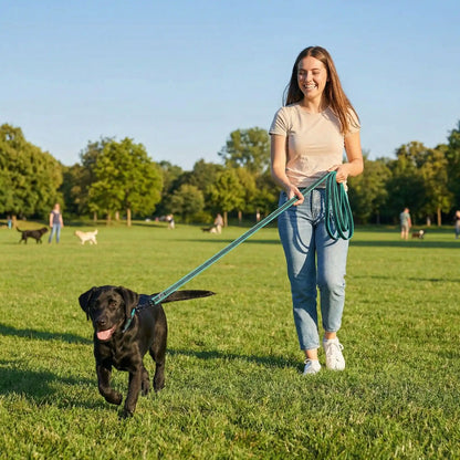 longes chien complicité renforcée