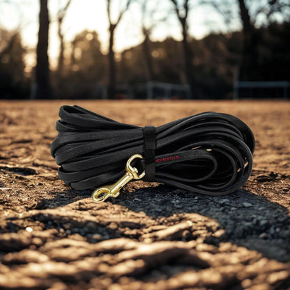 Longe pour chien | Patte Robuste