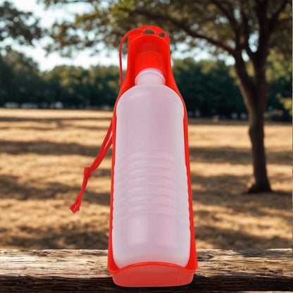 Gourde pour Chien | Pattes Splash™