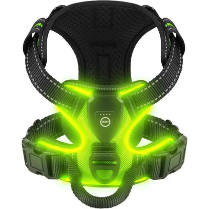 Harnais chien anti traction | LuminouPatte™