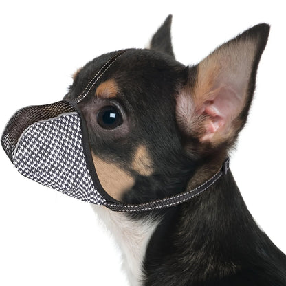 Muselière-Museau Confo | Pattes Museau & Cie™