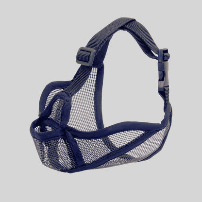 Muselière | Brachy Museau™