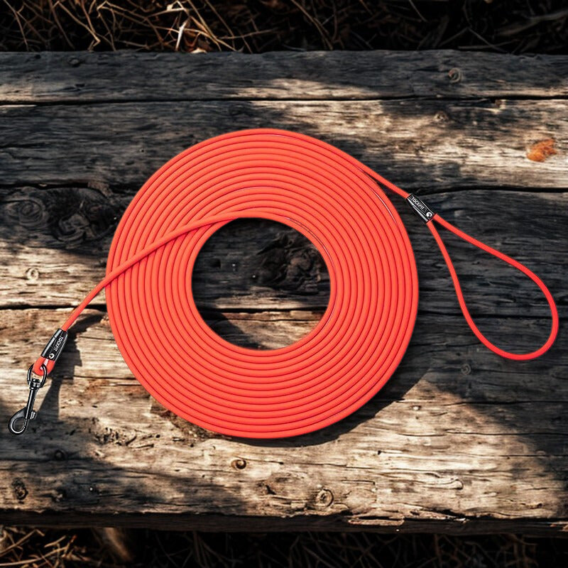 Longe pour chien | Libre Patte™