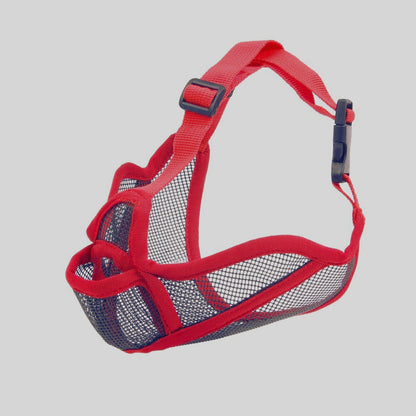 Muselière | Brachy Museau™