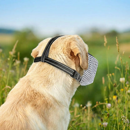 Muselière Confort Museau XL | Pattes Museau & Cie™