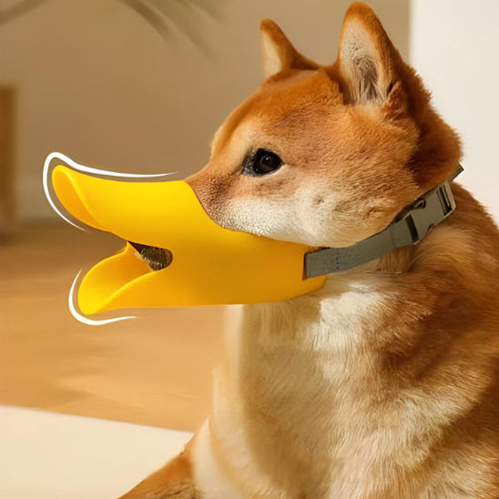 muselière chien anti aboiement