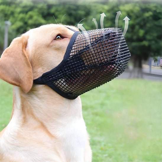 muselière chien maille respirante