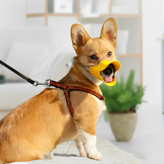 muselière chien multi usage