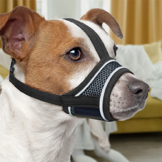 muselière chien respirante