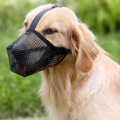 Muselière chien Respirante & Anti-Morsure Museau Zen | Pattes Museau & Cie™
