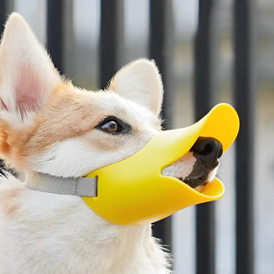 muselière chien silicone