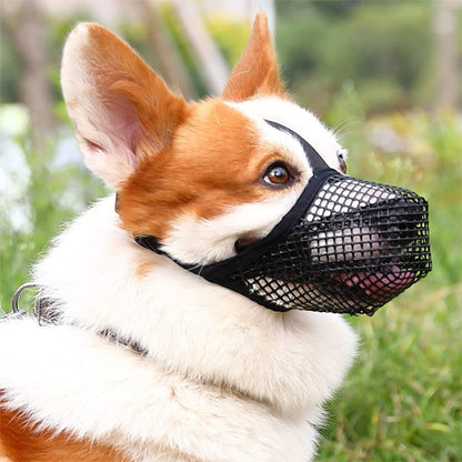 muselière chien souple