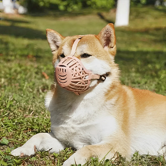 muselière grille confort