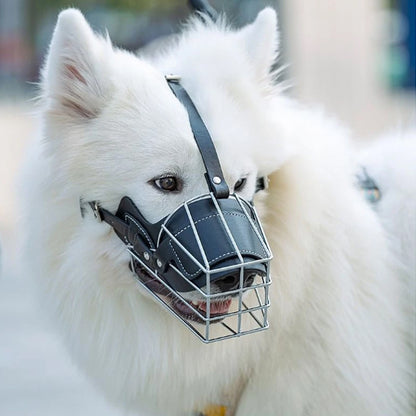 muselière pour chien protection confort