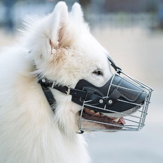 museliere pour chien sécurité