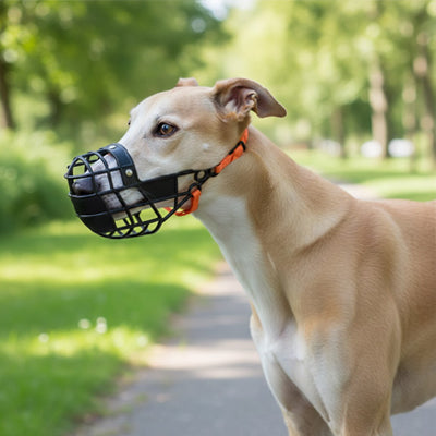 muselière respirante ventillation optimale
