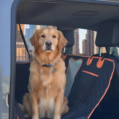 Protection chien voiture Fixation sécurisée