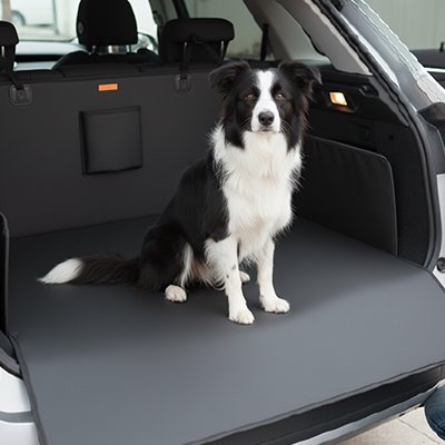 Protection chien voiture Nettoyage facile