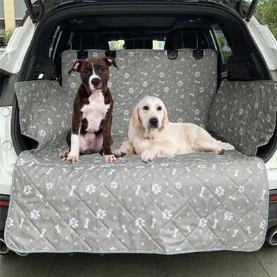 Protection chien voiture Protection complète contre les poils, griffures et salissures