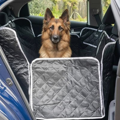 protection pour chien en voiture Maintien stable