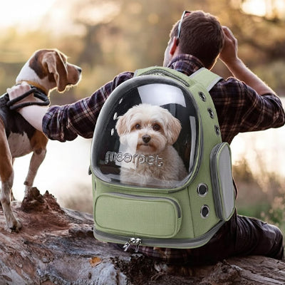 sac a dos chien avec aération main libre
