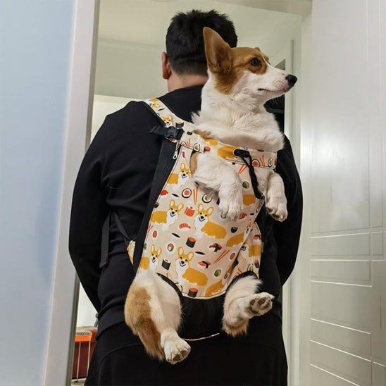 sac a dos chien confortable