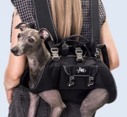 sac a dos chien horizontal confortable