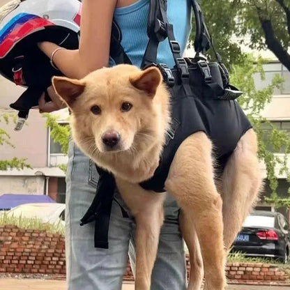 sac a dos chien main libre confort total