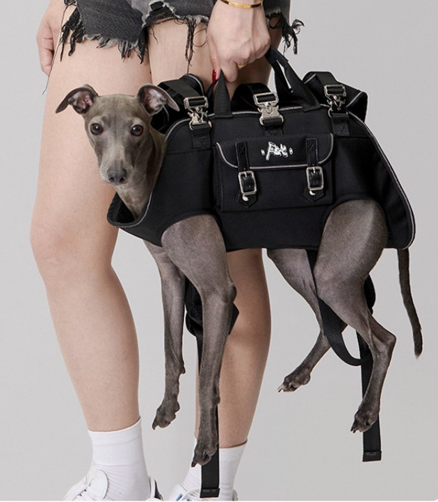 sac a dos chien polyvalent et fonctionnel
